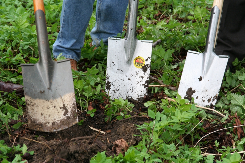 pepiniere-LA MOTTE-min_work-lawn-flower-tool-green-backyard-1103633-pxhere.com